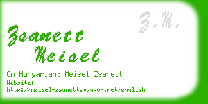 zsanett meisel business card